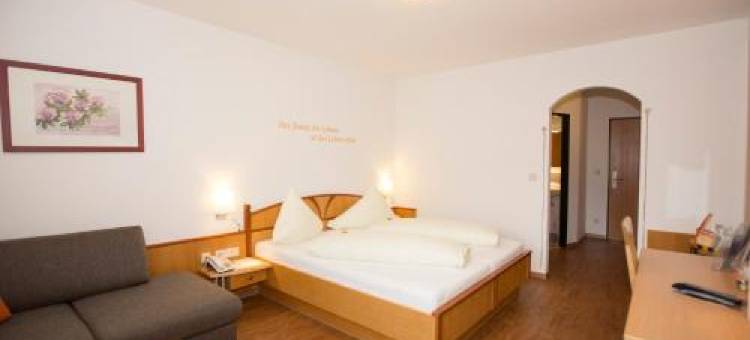 里吉特因-4星酒店(Regitnig - 4 Sterne Hotel Und Chalets)图片
