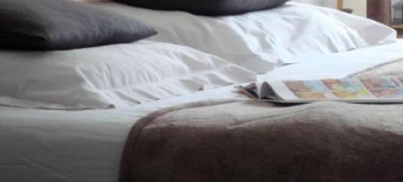 拉鲁勒住宿加早餐酒店(B&B la Ruelle)图片