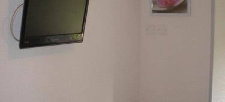 劳伯格夫鲁里酒店(L'Auberge Fleurie)图片