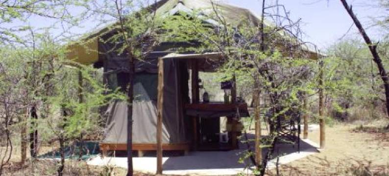 托恩树林露营酒店(Thorn Tree Bush Camp)图片