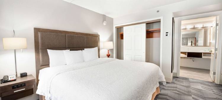 欢朋酒店加亚特兰大广场套房(Hampton Inn & Suites Atlanta-Galleria)图片