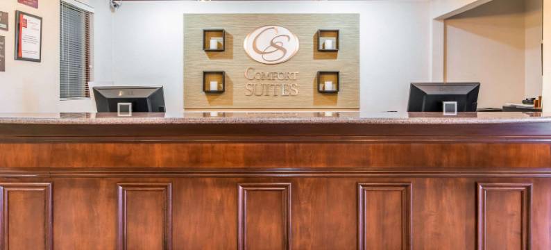 舒适套房酒店(Comfort Suites)图片