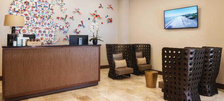 威斯汀洛斯卡波斯度假别墅(The Westin Los Cabos Resort Villas)图片