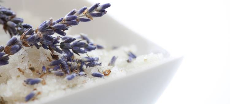 健康与养生酒店 - 限成人(Longevity Health & Wellness Hotel - Adults Only)图片