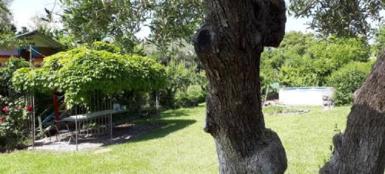 维拉维切奥度假屋(Villa Vecchio)图片