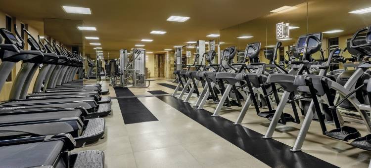 纽约纽约酒店(New York-New York Hotel & Casino)图片