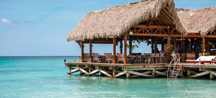 鲜活典藏卡诺亚酒店-全包(Sunscape Dominicus la Romana - All Inclusive)图片