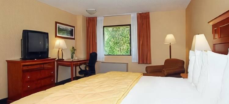 舒适酒店靠近韦尔比弗河(Comfort Inn Near Vail Beaver Creek)图片