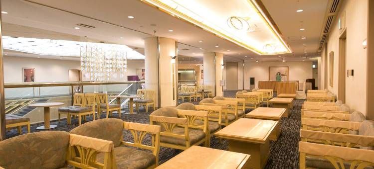 新大阪华盛顿广场酒店(Shin Osaka Washington Hotel Plaza)图片