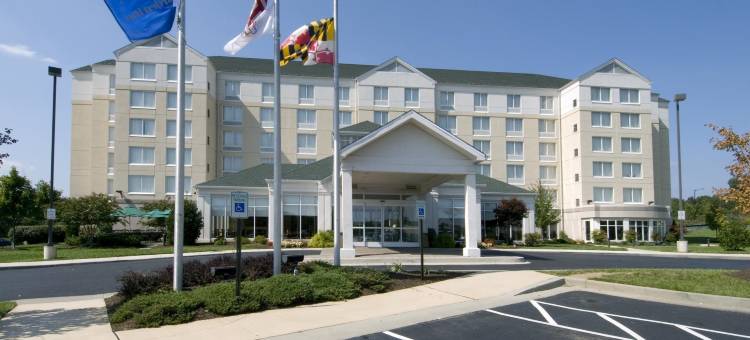 巴尔的摩奥因斯米尔斯希尔顿花园酒店(Hilton Garden Inn Baltimore/Owings Mills)图片