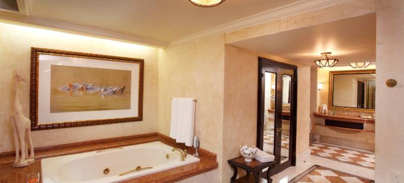 太阳城度假村迷失城宫殿酒店(The Palace of the Lost City at Sun City Resort)图片