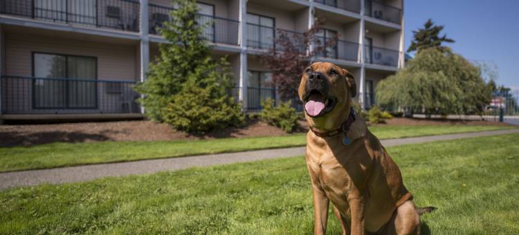 诺斯哥特贝斯特韦斯特酒店(Best Western Northgate Inn)图片