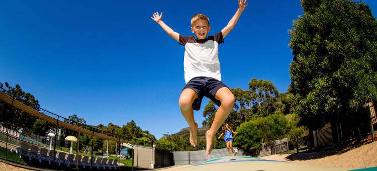 NRMA 霍尔斯山谷度假公园(Nrma Halls Gap Holiday Park)图片