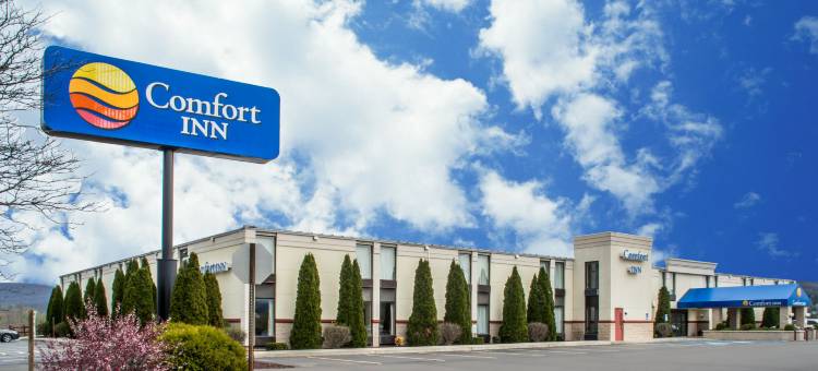 凯艺套房酒店(Quality Inn & Suites)图片