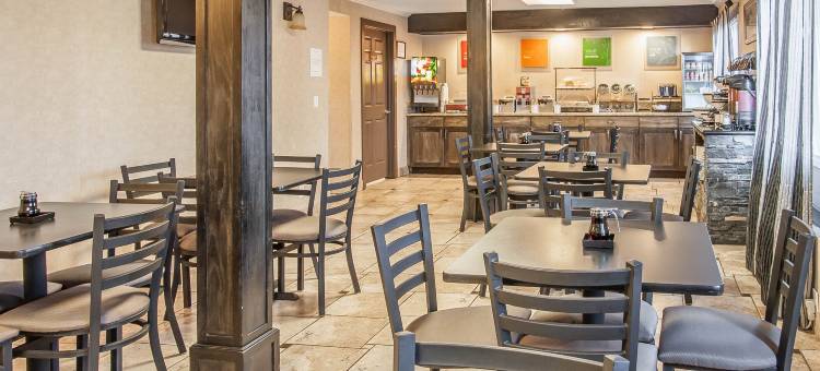 温馨酒店及套房温哥华市中心(Comfort Inn & Suites Vancouver Downtown City Center)图片