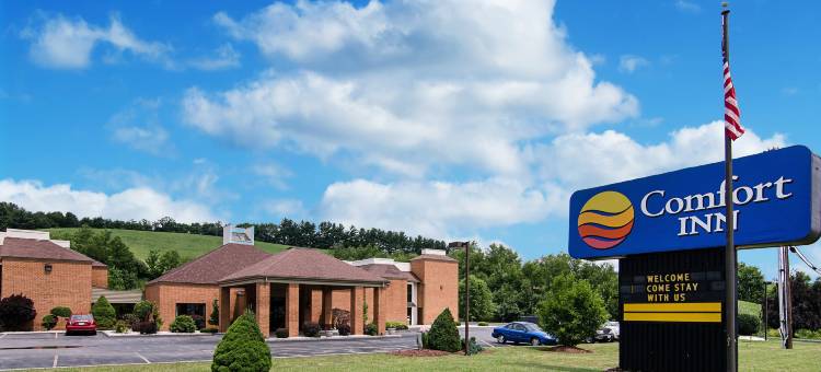 布卢菲尔特舒适酒店(Comfort Inn)图片