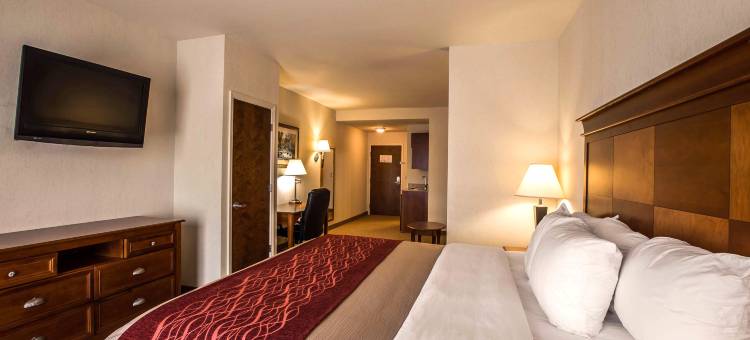 舒适酒店及套房罗杰斯维尔(Comfort Inn & Suites)图片