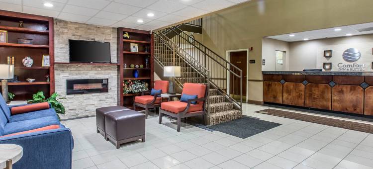 桃树角落舒适套房酒店(Comfort Inn & Suites Peachtree Corners)图片