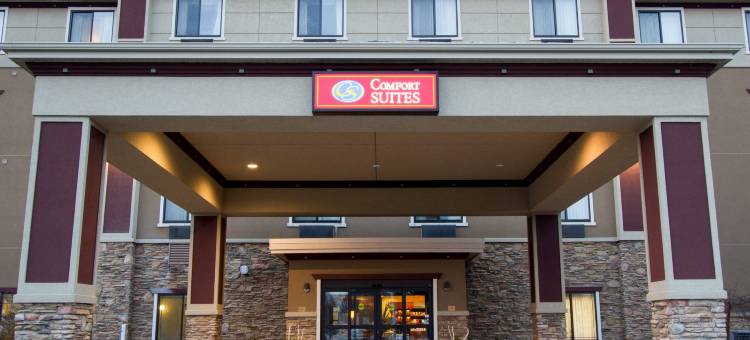 舒适套房酒店-大急流城北(Comfort Suites Grand Rapids North)图片