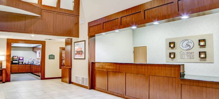 舒适套房酒店-泰勒南(Comfort Suites Tyler South)图片