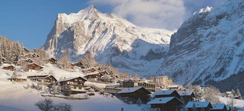 格林德瓦斯宾纳酒店(Hotel Spinne Grindelwald)图片