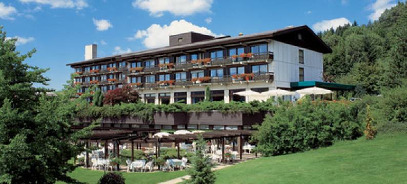 Hotel Sonnenhof Lam图片