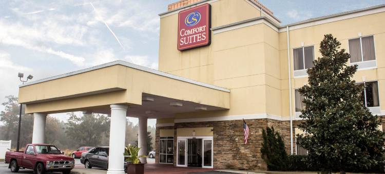 布伦瑞克舒适酒店(Comfort Suites Brunswick)图片