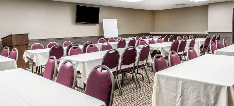 舒适套房酒店-近涅尔波托马克米尔斯(Comfort Suites Near Potomac Mills)图片