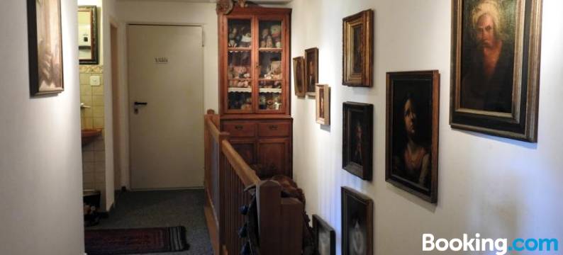 玉斯特利亚克鲁莎莉娃住宿加早餐旅馆(Ustria Crusch Alva)图片