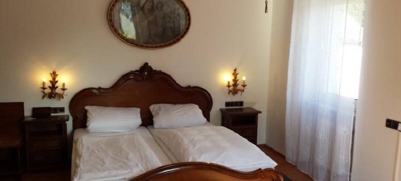 多尔夫申科酒店(Hotel Dorfschenke)图片