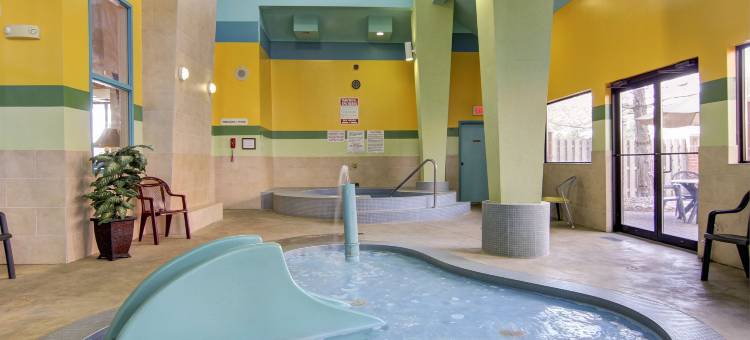 舒适酒店及套房大使桥(Comfort Inn & Suites Ambassador Bridge)图片