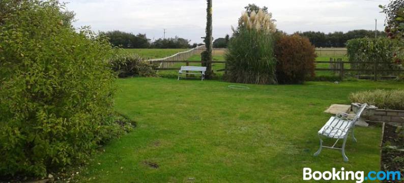 红豆杉树美景公寓(Yew Tree View)图片