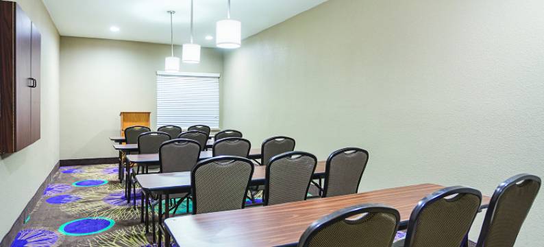 纽布朗费尔斯拉昆塔温德姆套房酒店(La Quinta Inn & Suites by Wyndham New Braunfels)图片