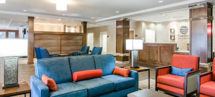 林奇堡机场-大学区舒适套房酒店(Comfort Inn & Suites Lynchburg Airport - University Area)图片