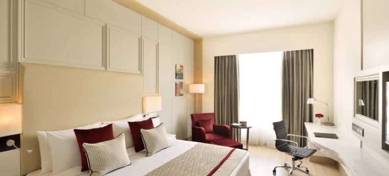 浦那辛吉瓦蒂丽笙酒店(Radisson Blu Pune Hinjawadi)图片