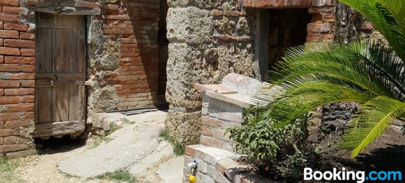 Montevenere 83图片