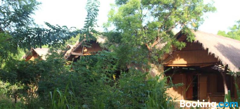 阿斯瑞亚阿育吠陀阿什拉姆旅馆(Athreya Ayurveda Ashram)图片