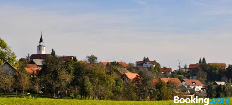 Guest House Domačija Krnc图片