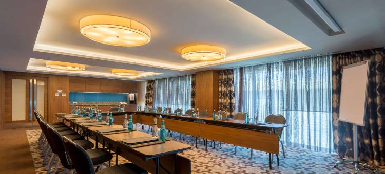 伊斯坦布尔金色郁金香酒店(Golden Tulip Istanbul Bayrampasa)图片