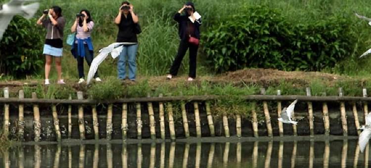 纽港云顶世界内的马尼拉万豪酒店(Manila Marriott Hotel at Newport World Resorts)图片