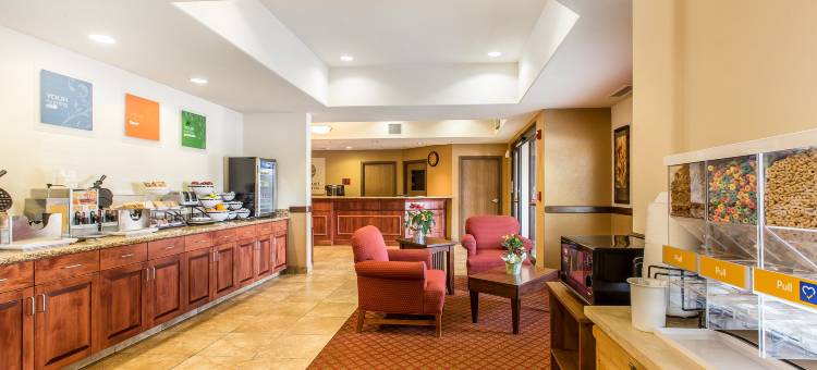 舒适套房酒店(Comfort Inn & Suites)图片