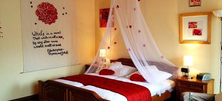 亨布拉斯酒店(Henblas Hotel)图片