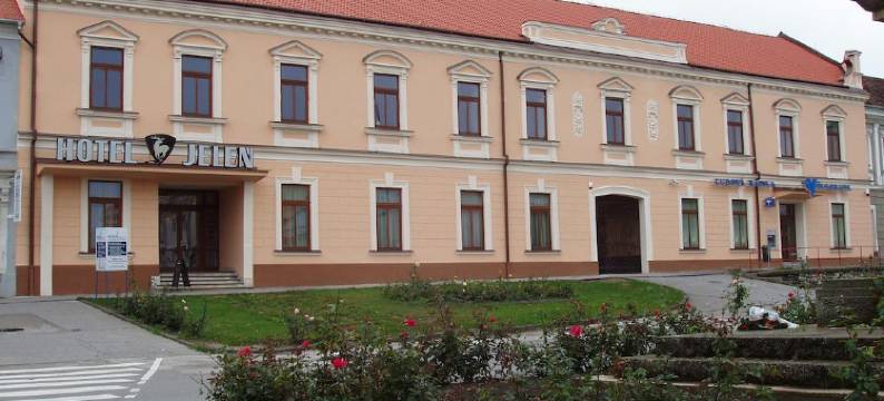 耶伦酒店(Hotel Jelen)图片