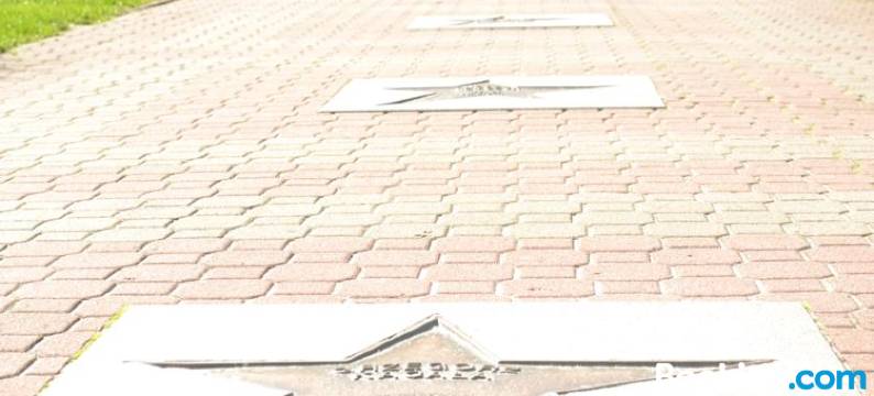 Willa Balticus图片