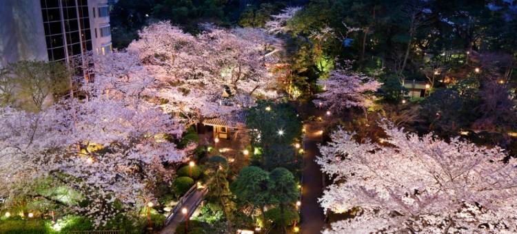 高轮格兰王子大酒店(Grand Prince Hotel Takanawa)图片