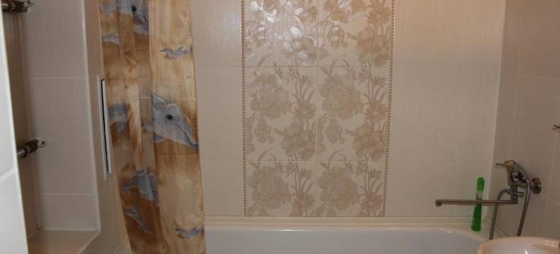 西弗延卡公寓(Apartments Severyanka)图片