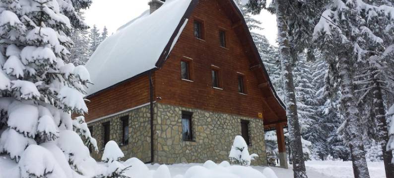 亚霍里那维拉公寓(Apartments Jahorina Vila IN)图片