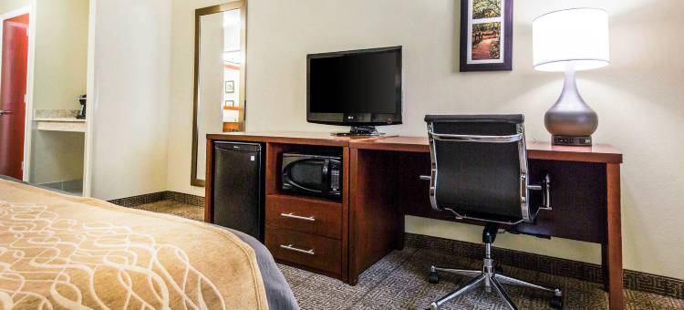 邓肯斯维尔阿尔图纳舒适酒店(Comfort Inn Duncansville - Altoona)图片