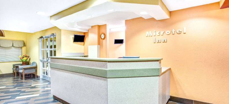 纽波特纽斯机场麦客达温德姆酒店(Microtel Inn & Suites by Wyndham Newport News Airport)图片