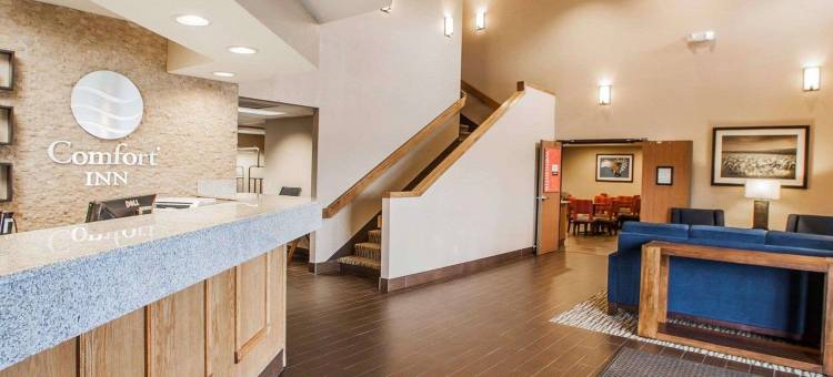 南马歇尔镇舒适酒店(Comfort Inn Marshalltown South)图片